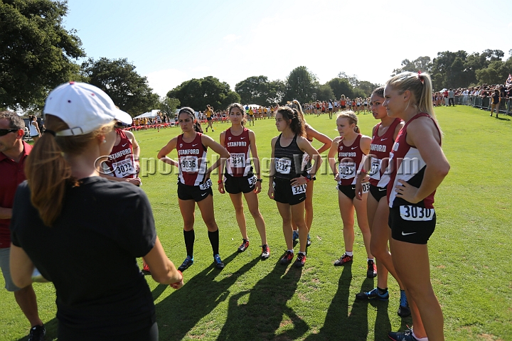 2014StanfordCollWomen-420.JPG - College race at the 2014 Stanford Cross Country Invitational, September 27, Stanford Golf Course, Stanford, California.